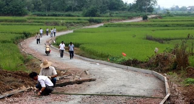 村村通公路成了“村村痛”，到底谁的错？专家的回答让农民很无奈