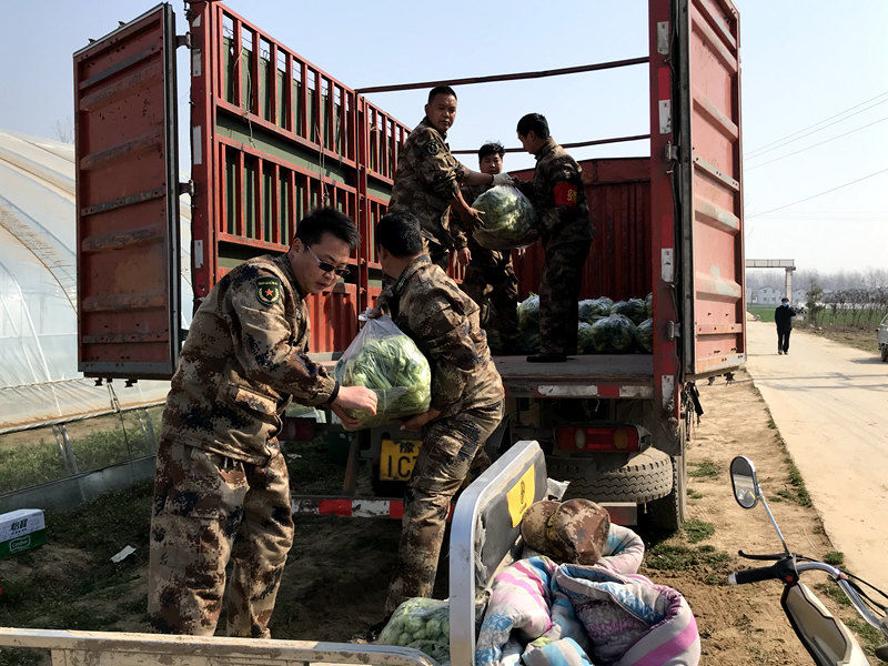 沈丘县属于哪个市