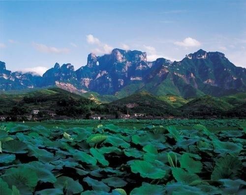 张家界天门山、张家界森林公园、杨家界、天子山三日游