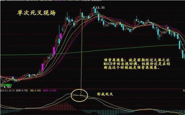中国股市进入“自杀时代”,股灾道路散户上还能走多远?