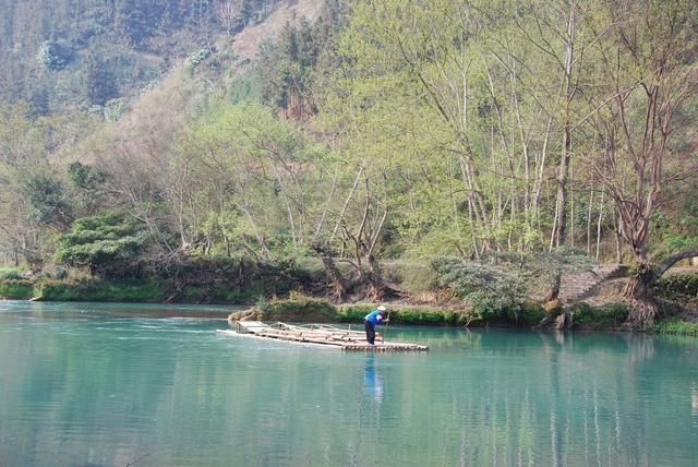随走札记｜一到春天，罗平就变成了多彩的世界