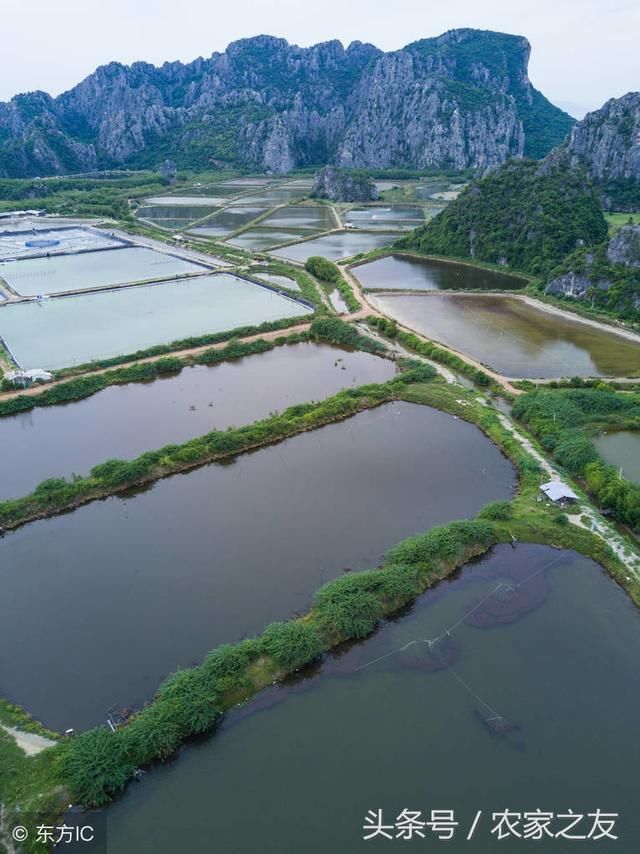 小龙虾养殖模式有哪些，全国主要小龙虾养殖模式大全