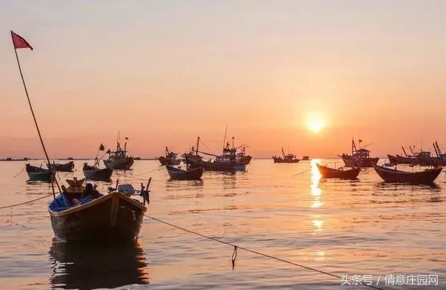 你想要的大海和沙海这里全都有