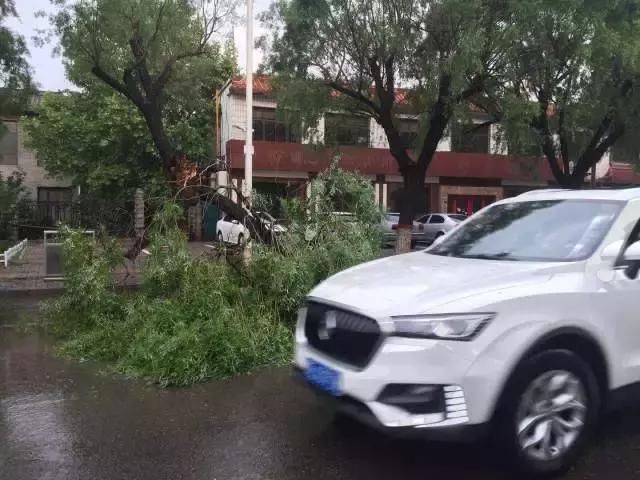 邢台气象台公布雨情！强对流！3.5厘米冰雹，南大郭下雨最大