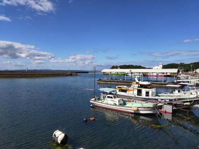 OPPO find系列卷土重来,伸缩式摄像头+93.8%