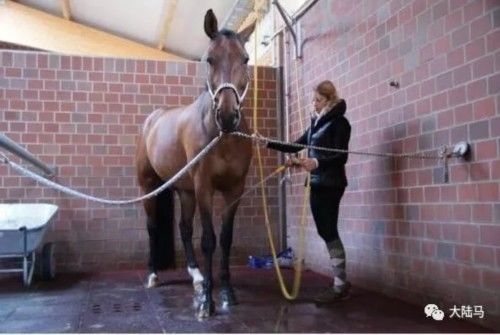 8000万人口、面积比云南还小的德国,竟有100