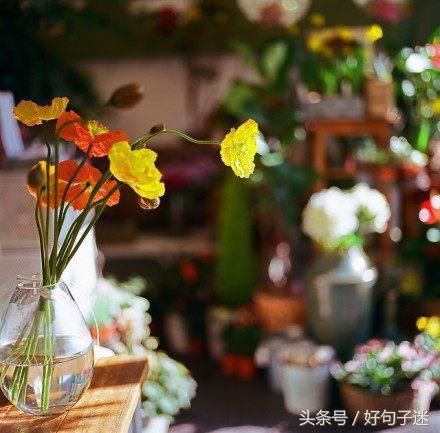 父亲节送给爸爸最暖心的话,句句写进心窝里!