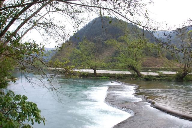 随走札记｜一到春天，罗平就变成了多彩的世界