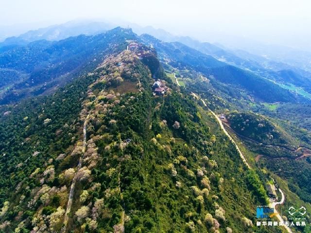 无人机之旅｜春到云龟山 樱花浪漫开