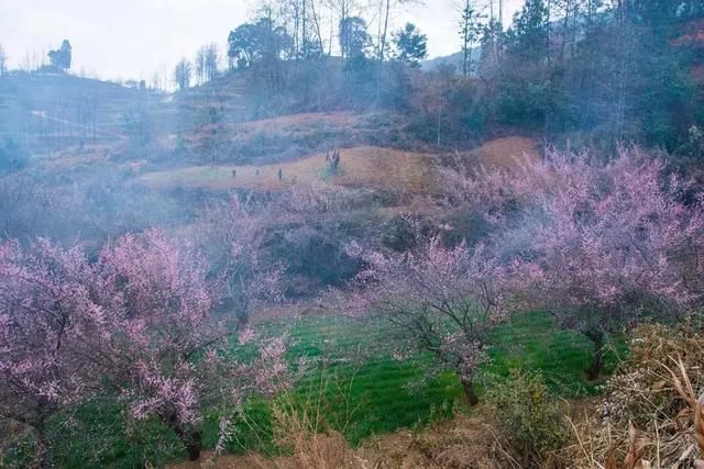 3月，美的不仅是丽江，更是丽江旁边的这座小城！