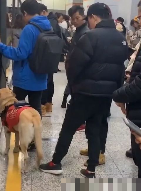 男子地铁不听劝阻多次骚扰导盲犬