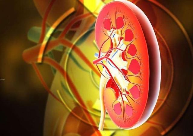 春季养肾可以多吃这三种食物,不仅滋补肾脏还