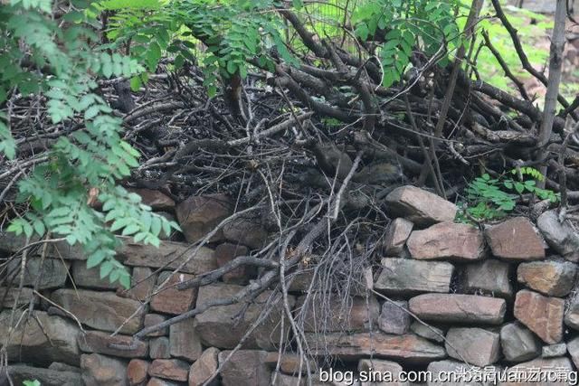 我的旅行日记“滹沱村”一个住在“桥”上的村落