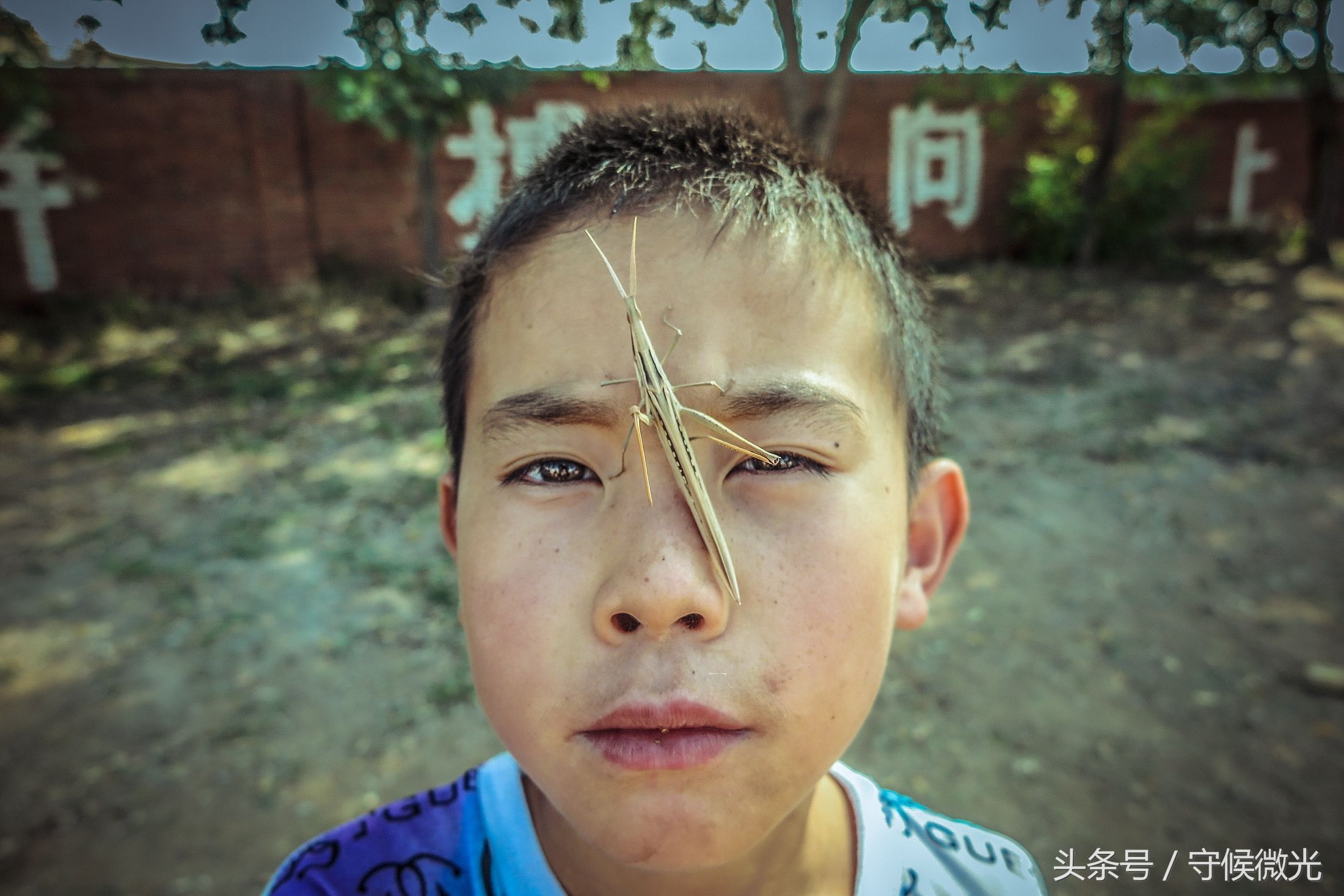 辽宁北票 一名乡村教师的6年相册