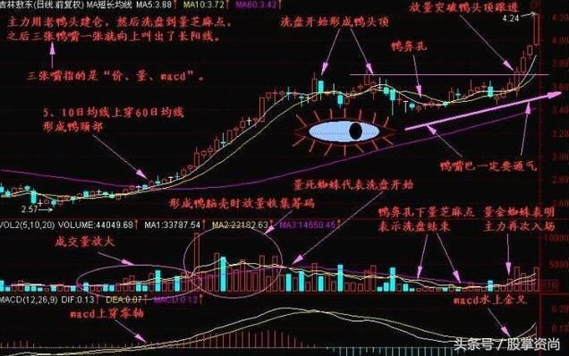 详解”老鸭头”典型趋势形态，极少人知的选牛股精髓，出现即大涨