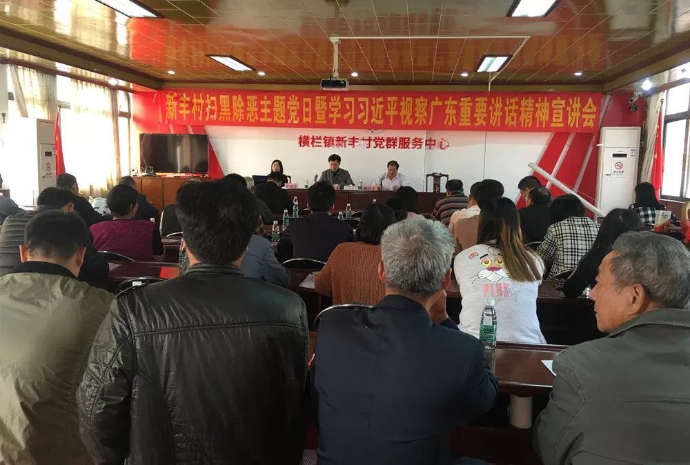 扫黑除恶 党员先行--横栏镇开展扫黑除恶主题党日活动