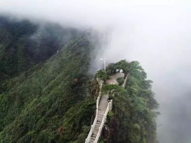 深圳周边适合春游、散心的好地方,你去几个?