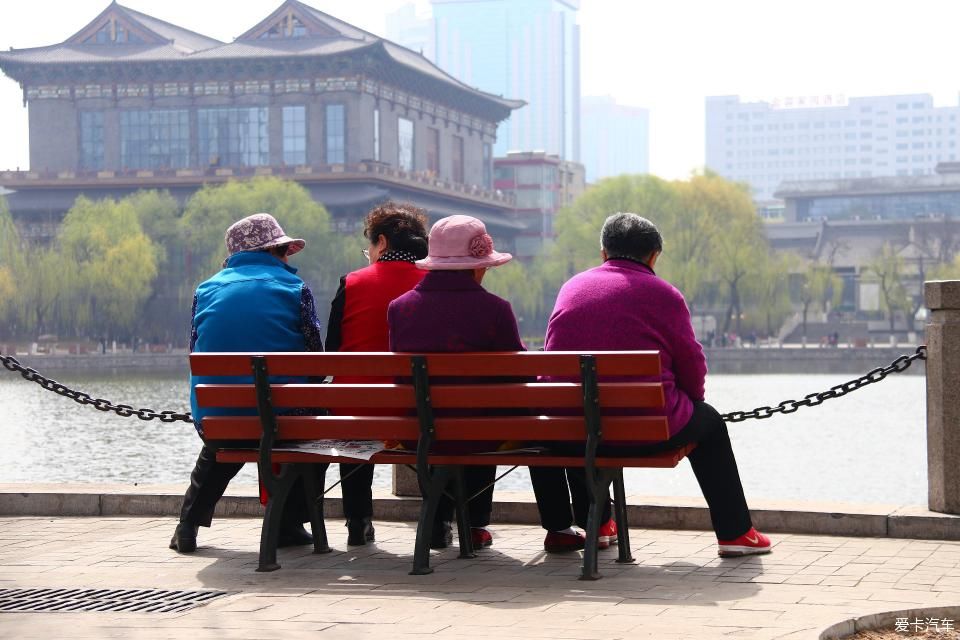 《春之彩》文瀛公园遛个弯!