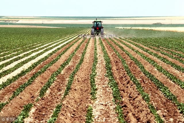 农业部更名为农业农村部,农村之后将会发生这