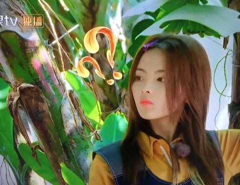 杨超越和王源《哈哈农夫》综艺中两人配合默契