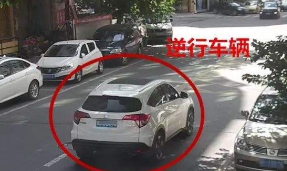 司机故意遮挡车牌逆行,交警看到车内情况后,却选择无奈放行 sunbet客户端下载