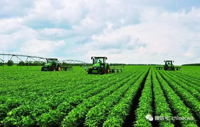 美大豆如被加税会怎样? 对中国影响有限