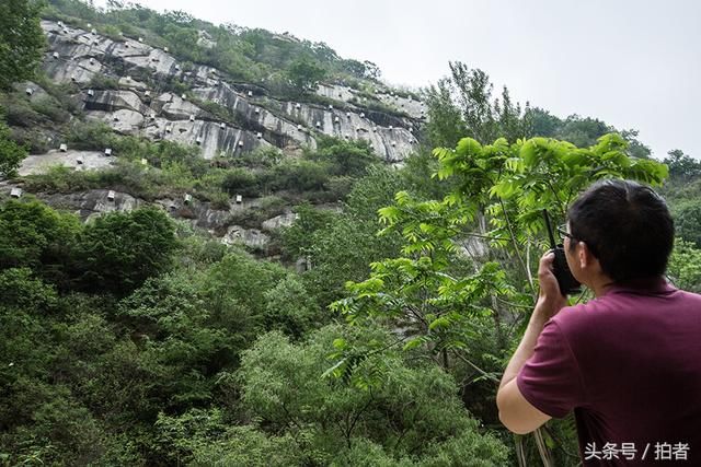 密云大山深处的悬崖养蜂人