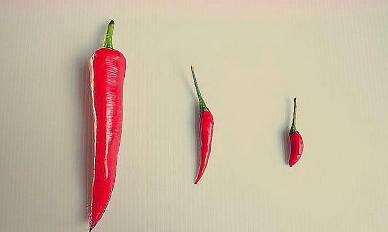 教师:调整工资结构,淡化职称工资,体现按劳分配