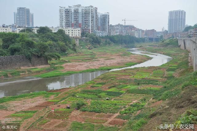 农村集体土地征收，补偿费有多少？农民该“喜”还是“忧”？