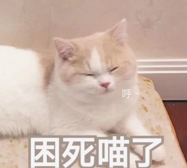 老婆生气别买礼物了,用撒娇表情撩她,促进感眼睛的表情包图片