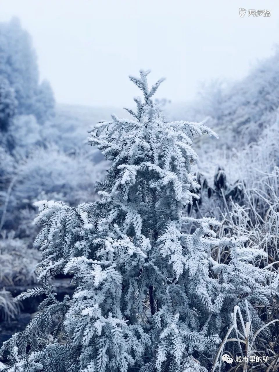 中国十大非著名山峰，你走过几座？