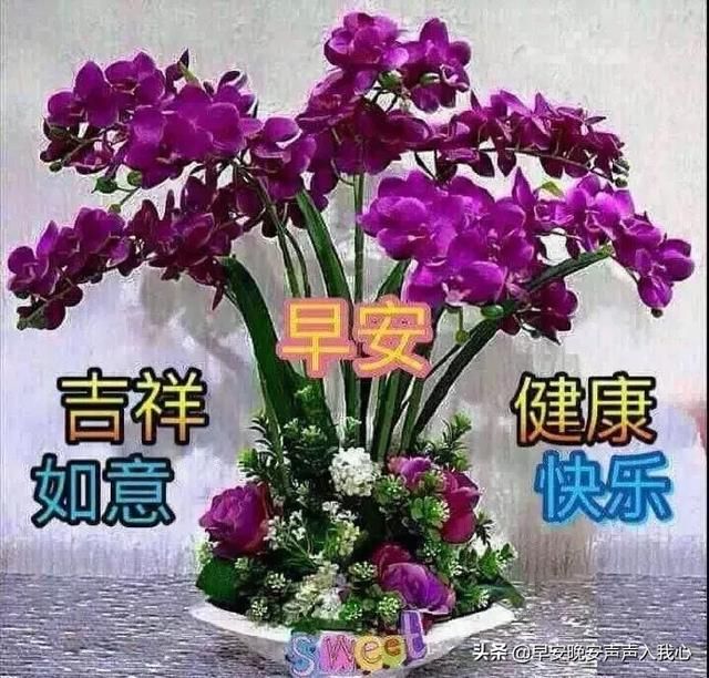 5月5日周日清晨早上好祝福问候动态图片表情搞笑表情包芭比图片