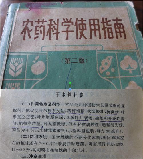 何为“二次控旺，两喷八防”？这个让玉米高高高产的技术，我用了