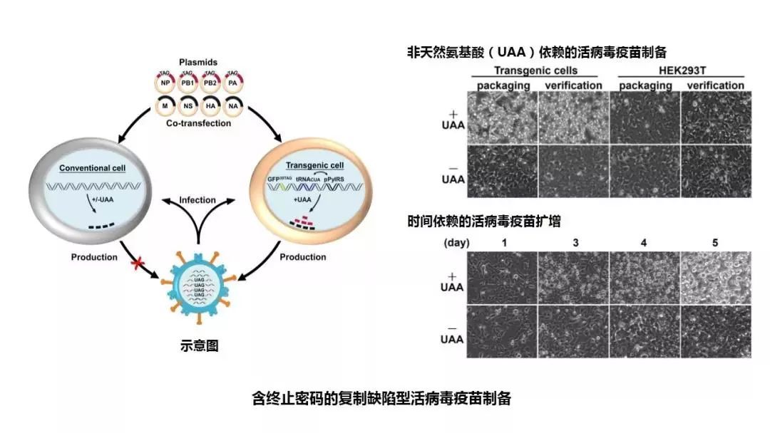 年度中国科学十大进展出炉