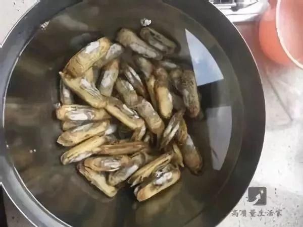 2分钟让蛤蜊蛏子速度把沙土吐干净,赶紧学起来!
