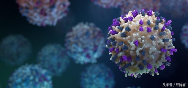 12个干细胞临床研究项目备案,细胞政策落地加