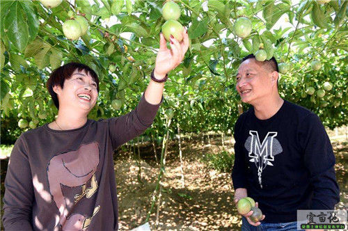 业农民证有什么好处?新型职业农民怎么报名?