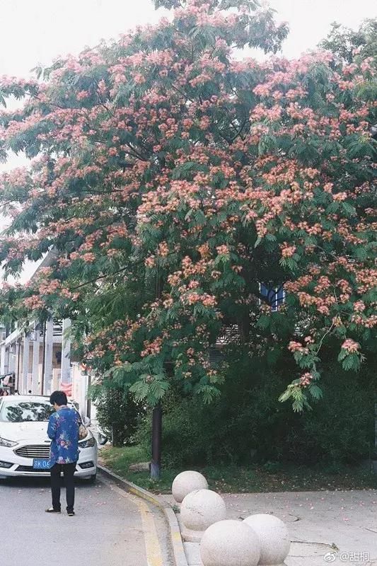 高邮市多少人口_高邮市南海中学藏芳(2)