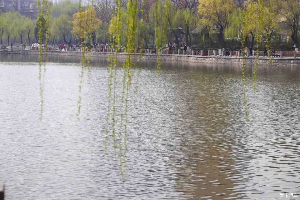 《春之彩》文瀛公园遛个弯!