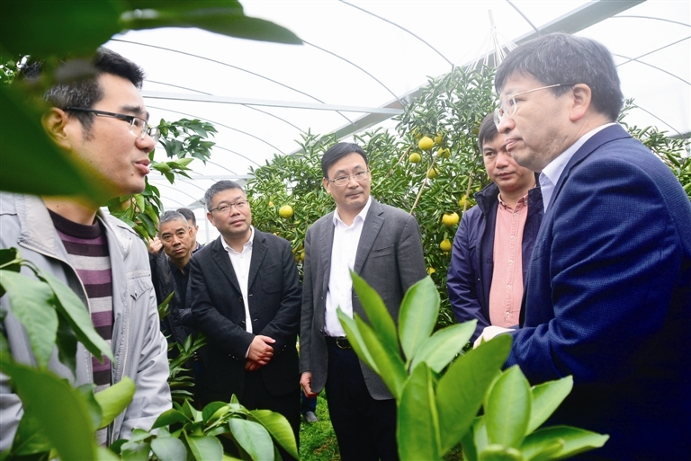 邓秀新院士来象 指导柑橘产业发展