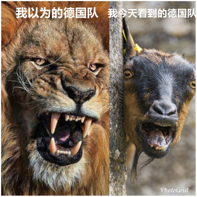 笑死我吗?德国输球后黑段子集体来袭,污的没眼