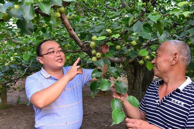 省派宁陵县驻村第一书记离任感言省文联驻石桥