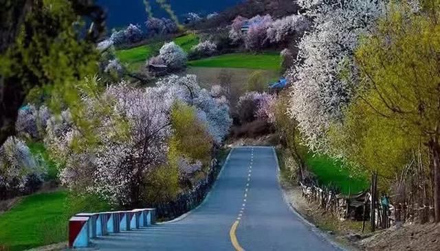 此生必走一次的中国最美景观大道