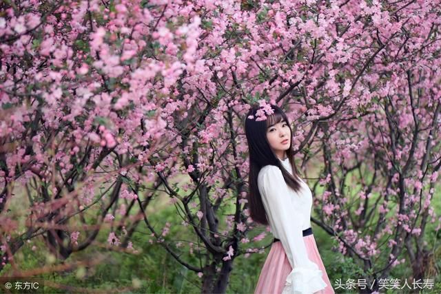 正月十五过后,桃花满天飞,最容易遇到真爱的3大生肖