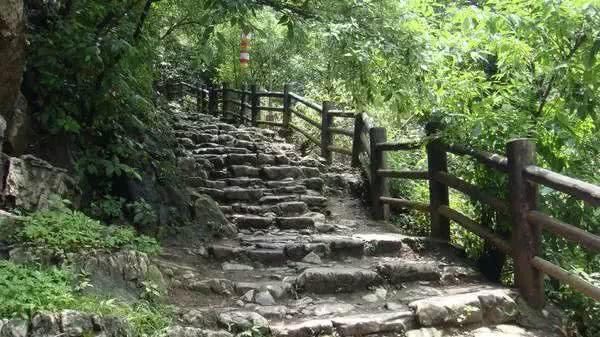 云南的30个之最!你知道吗?