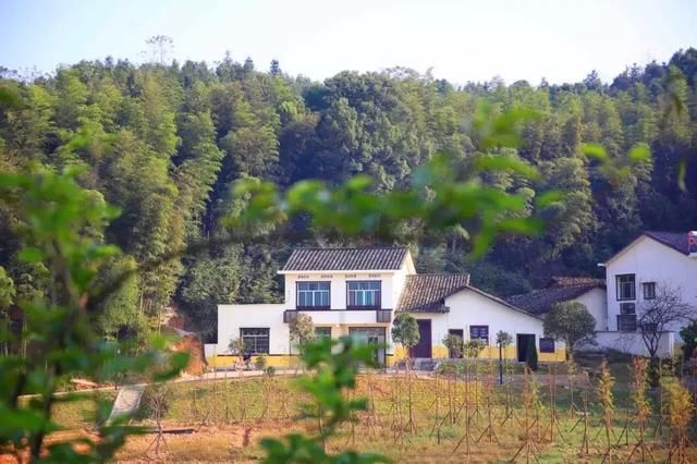 湖南省长沙市开慧镇GDP_湖南省长沙市龙伏镇(3)