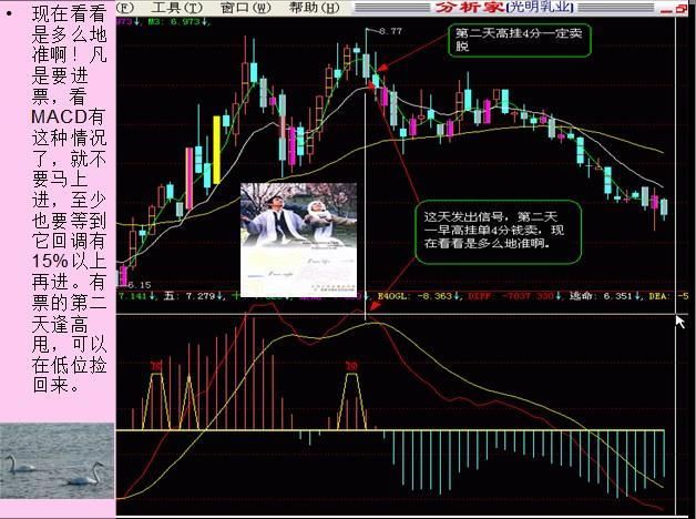 中国股市最牛的人：只学会了macd指标就能赚钱，你学会了吗？