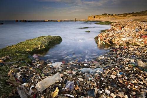 全球每年塑料废弃物超3000万吨,海水降解材料