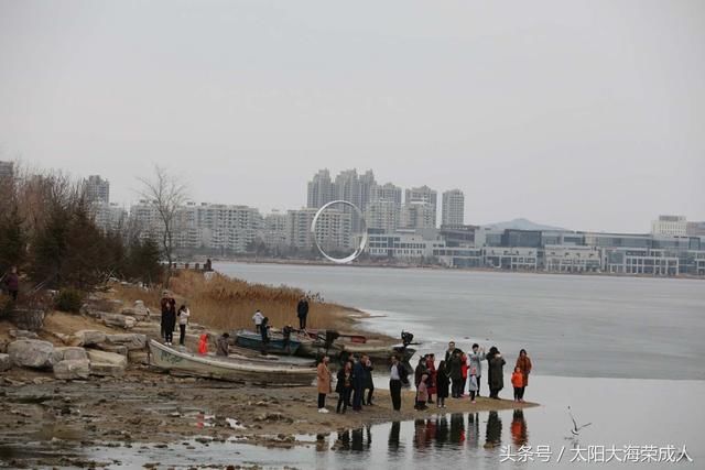 山东荣成樱花湖畔 喜迎各地游客 和天鹅一起过春节