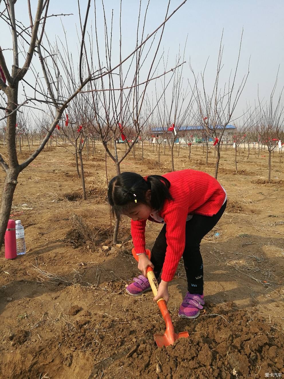 【宝骏730激情夏日】之植树节活动